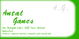 antal gancs business card